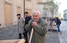 Фото 10: Замість поваленої буревієм тополі – 7 робіній: на площі Катедральній висадили нові дерева