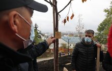 Фото 16: У Львові висадили 96 іменних дерев, присвячених загиблим Героям
