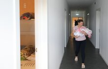 Фото 7: У Центрі «Незламні матусі» оселилась нова мешканка: новонароджена дівчинка Даринка
