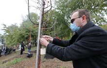 Фото 24: У Львові висадили 96 іменних дерев, присвячених загиблим Героям