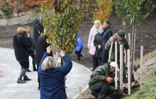 Фото 38: У Львові висадили 96 іменних дерев, присвячених загиблим Героям