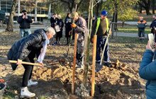 Фото 1: 11 дерев у пам’ять про захисників висадили на вул. Городоцькій