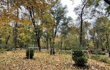 Фото 2: Сьогодні в парку Франка висаджують 6 дерев
