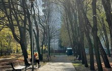 Фото 12: У лісопарку «Білогорща» та парку ім. І. Виговського завершують реконструкцію