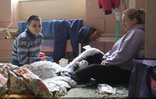 Фото 3: Львів уже прийняв тисячі вимушено переміщених осіб: про що вони говорять, живучи тепер ось так