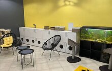 Фото 3: У Домівці врятованих тварин з’явився котобудиночок