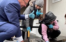 Фото 2: 155 тисяч тюльпанів розквітнуть у Львівській громаді вже навесні