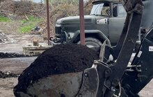 Фото 3: Понад 10 тонн ялинок прийняла станція компостування від львів’ян у січні
