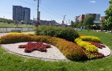 Фото 6: Сихів у квітах: на території району облаштовують квіткові композиції