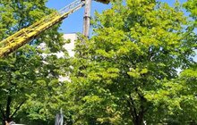 Фото 3: У два рази менше споживання електроенергії: на вулиці Брюховицькій встановили 103 сучасні LED-світильники