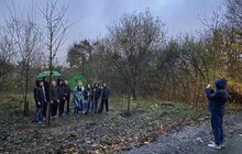 Фото 5: 120 спонсорських дерев та понад 10 кущів: у Львові триває висадка в рамках акції «Хочу посадити дерево»