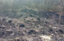 Фото 6: Два підпали у парку «Знесіння» за минулу добу: пошкоджено близько 4 га заповідної зони
