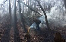 Фото 7: Два підпали у парку «Знесіння» за минулу добу: пошкоджено близько 4 га заповідної зони