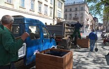 Фото 7: На вул. Л. Українки відремонтували тротуар та висаджують клени