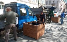 Фото 13: На вул. Л. Українки відремонтували тротуар та висаджують клени
