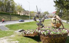 Фото 2: У Львові висаджують квіткові композиції