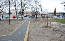 Фото 9: У місті з’явився ще один громадський простір – на вул Петлюри