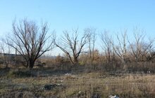 Фото 10: У Львові розглядають можливість встановлення станції вимірювання якості повітря на вул. Пластовій