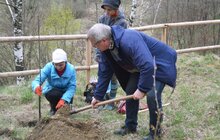 Фото 2: У Львові відновлювали Черешневий гай Климентія Шептицького