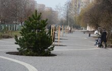 Фото 1: На Сихові завершують роботи з облаштування нового громадського простору