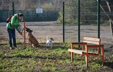 Фото 15: ЛКП «Лев» облаштувало тренувально-вигульний майданчик на вул. Промисловій