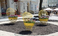 Фото 7: У районах Львова продовжують висаджувати квіткові композиції