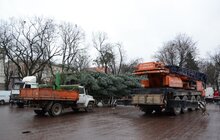 Фото 10: У Львові встановили головну новорічну ялинку: за тиждень її урочисто відкриють