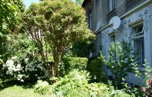 Фото 1: У Львові розшукують подвір’я, які власноруч озеленили ініціативні мешканці