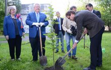 Фото 5: У Замарстинівському сквері висадили перше символічне дерево, ознаменувавши старт його реконструкції