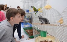 Фото 13: Сьогодні відбулося відкриття Дитячого Форуму