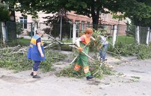 Фото 15: «До прибирання міста було задіяно сьогодні 1694 працівники комунальних підприємств і 72 одиниці техніки», - І. Маруняк