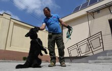 Фото 7: У Львові відкрили перший в Україні Центр адопції тварин
