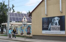 Фото 21: У Львові відкрили перший в Україні Центр адопції тварин