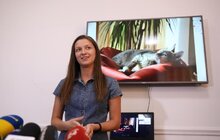 Фото 4: Львів перший у світі підрахував вуличних котів