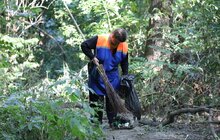 Фото 23: У Львові відбувається наймасштабніша екоподія цієї осені - «World Cleanup Day»