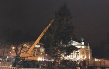 Фото 3: Святкова ялинка вже у Львові