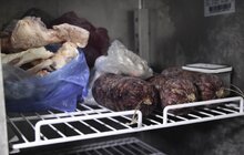 Фото 9: На початку травня у Львові відкриють Центр адопції безпритульних тварин