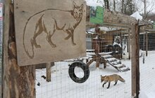 Фото 1: У мерії розглядають можливості комплексного розвитку парку «Знесіння» і Домівки врятованих тварин