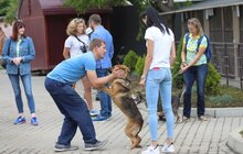 Фото 19: У Львові відомі спортсмени допомагали безпритульним тваринам