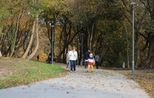Фото 24: У Львові комплексно ремонтують парки: роботи тривають на низці об'єктів