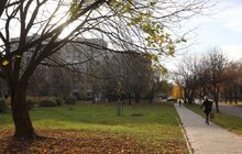Фото 13: На вул. Кульчицької, 18 залишиться сквер: рішення суду