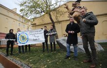 Фото 5: До Дня студента львівських левів одягнули у мантії