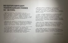 Фото 2: У Львові відкрили виставку стінописів «Моя квартира скинула шкіру»