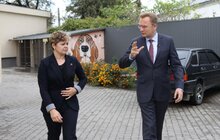 Фото 9: ЛКП «Лев» прилаштувало за 3 роки 2 тис тварин