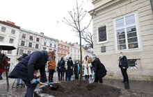 Фото 1: Мер Львова та тимчасово повірена у справах США в Україні спільно висадили на пл. Ринок рожевоквітний каштан