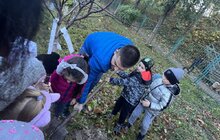 Фото 5: В межах Тижня сталої енергії дошкільнята Львова садили дерева
