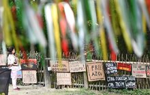 Фото 6: У Шевченківському гаю розпочався фестиваль до Дня молоді (відео)