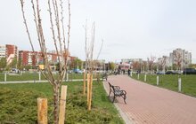 Фото 6: У Львові висадили 20 сакур, які місту подарувало Посольство Японії