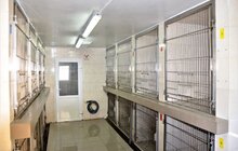 Фото 5: ЛКП «Лев» відновило свою роботу в повному обсязі після двотижневого карантину