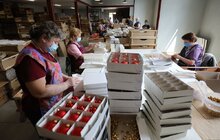 Фото 6: Мер Львова відвідав склодзеркальний завод «Галімпекс» та обговорив з підприємцями можливість модернізації виробництва і розвитку мікрорайону